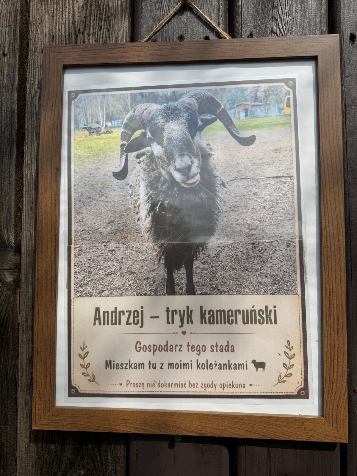 20260511_kolatka_05.jpeg