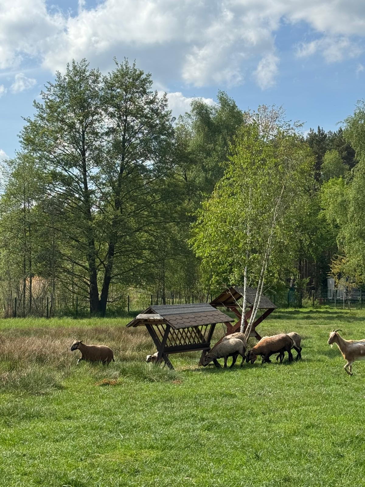 20260511_kolatka_05a.jpeg