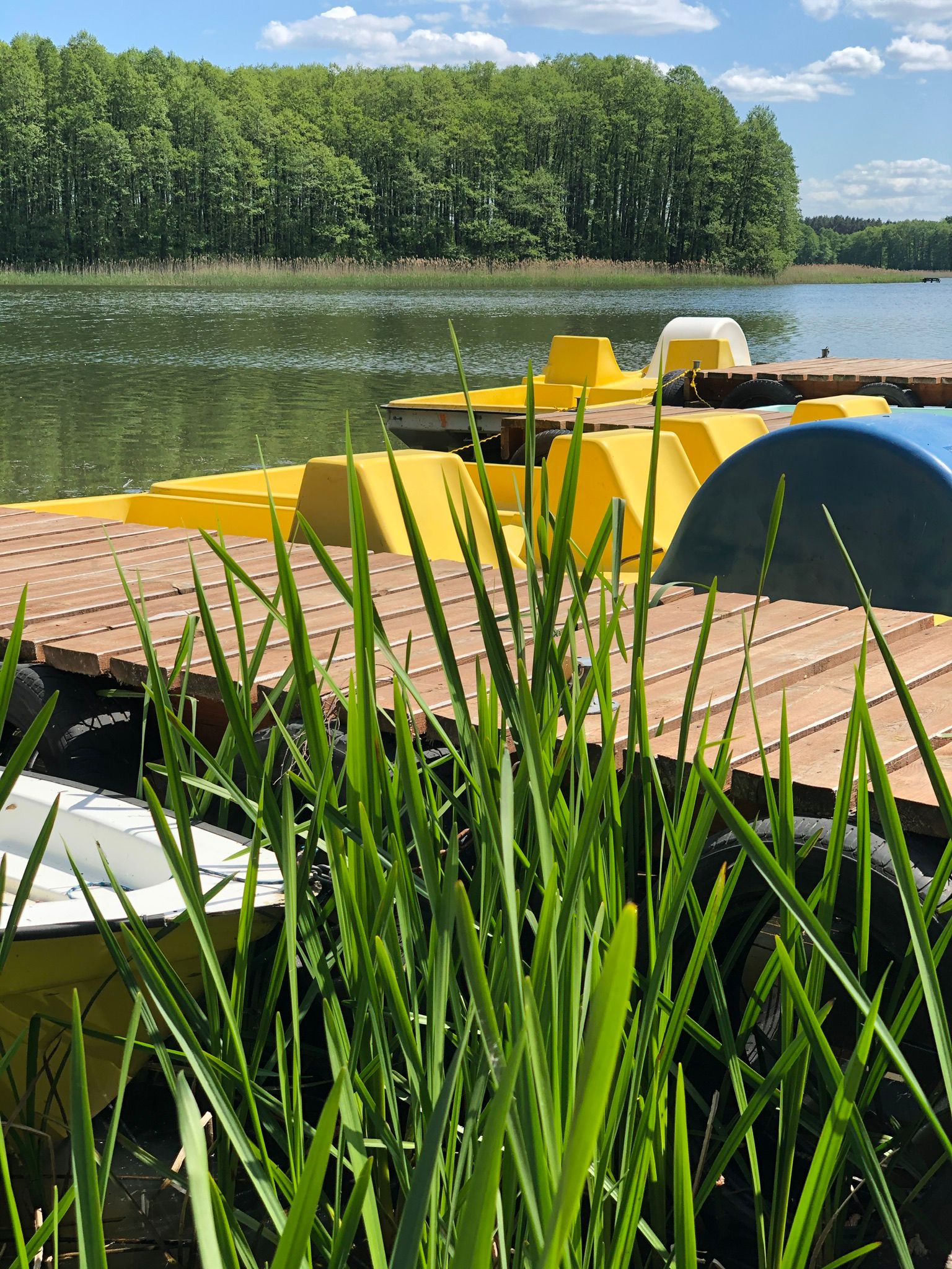 20260511_kolatka_06.jpeg